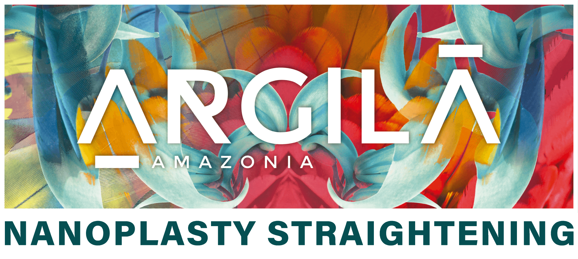 ארג'ילה אמזוניה - החלקת חימר ברזילאית טבעונית